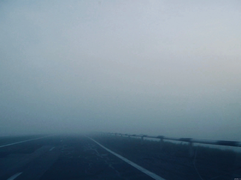 Как не попасть в ДТП: правила вождения в туман