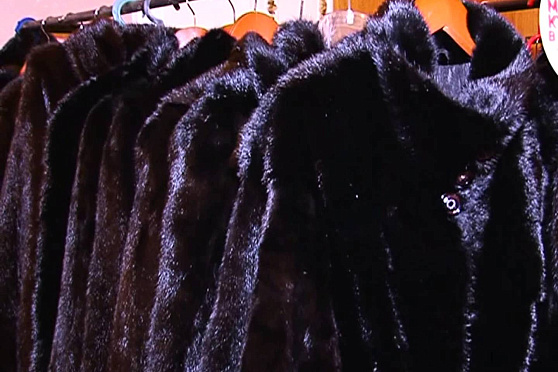 Азбука потребителя 22.11.2012