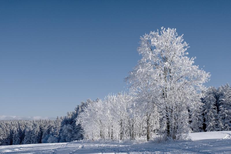 В Самарской области 3 января похолодает до -11 градусов