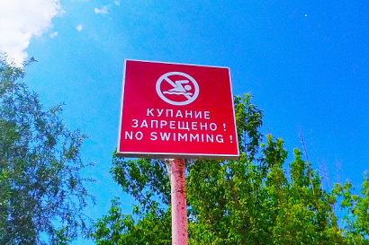 Название статьи