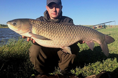 Трофейного белого амура поймали рыбаки из Сызрани 