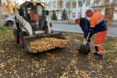 В Самаре началась сезонная уборка листвы, сухих веток и мусора
