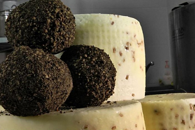 Соцконтракт помог сыровару из Тольятти развить свое дело