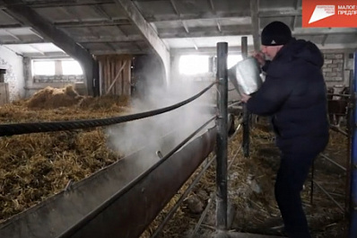 Житель Камышлинского района увеличил поголовье скота и приобрел сельхозтехнику благодаря гранту "Агростартап"