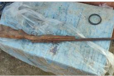 Тело не нашли: в Самарской области задержали убийцу лося