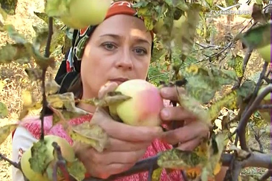 Уборка яблок и стрижка пионов. Удачные заметки от 17.10.2017