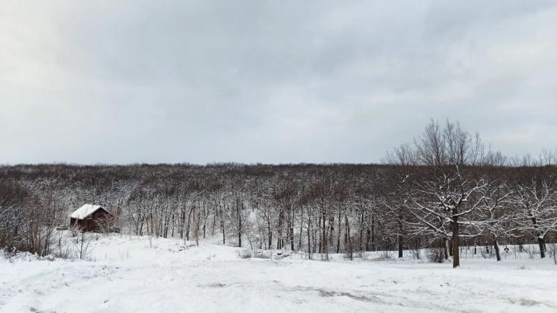 В Самаре объявили режим "черного неба" до 27 января