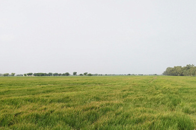 В Самаре ветерану ВОВ предоставили земельный участок