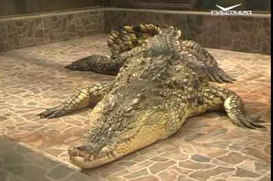 Самарский зоопарк посетители дети из дома ребёнка ИК-15