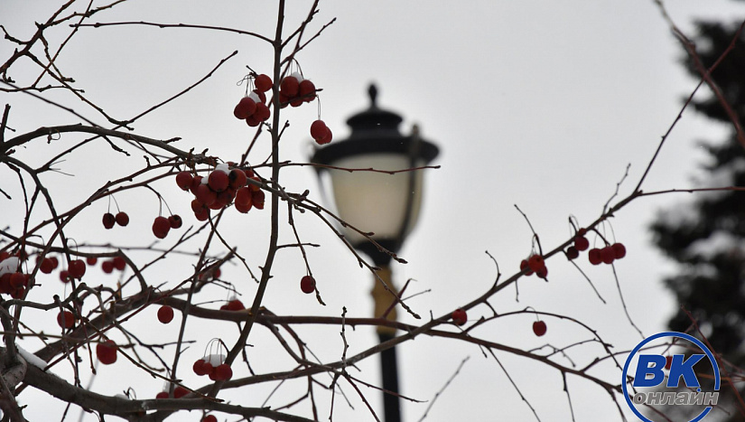 23 января в истории и архиве "ВК"