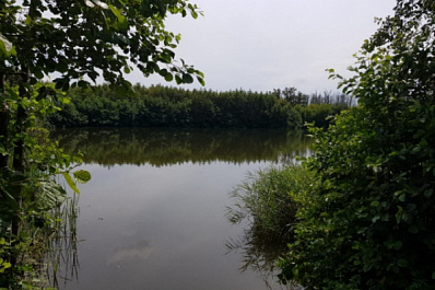 Под Сызранью на озере утонула 13-летняя девочка