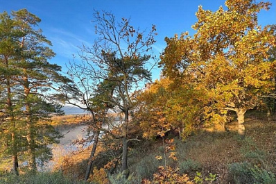 В Рощинском прошел партийный субботник 