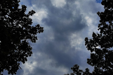 27 апреля дождь и сильный ветер накроют Самарскую область