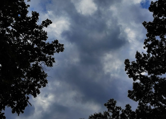 Название статьи