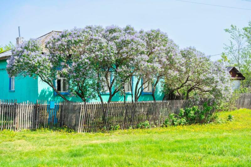 В России зафиксирован заметный рост количества частных домов