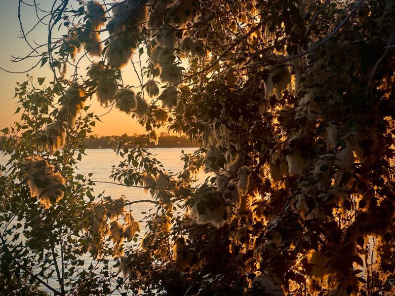 Погода на 13 июля 2025 года: народные приметы и прогноз синоптиков