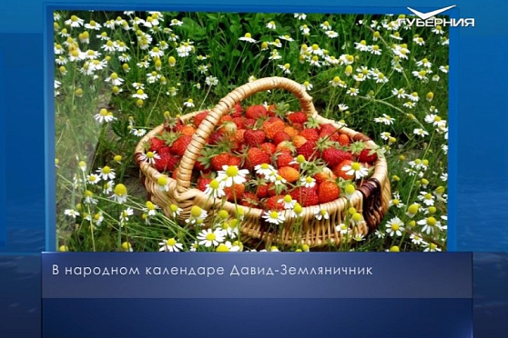 Давид-Земляничник. Календарь губернии от 9 июля