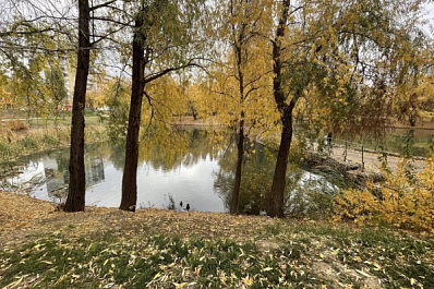 В Самарской области в ночь на 7 сентября ожидаются заморозки до -2 °С