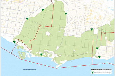 Жители Тольятти очищают леса