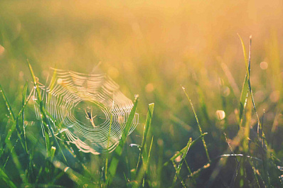 Погода на 27 июля 2025 года: народные приметы и прогноз синоптиков