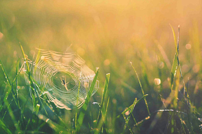 Название статьи