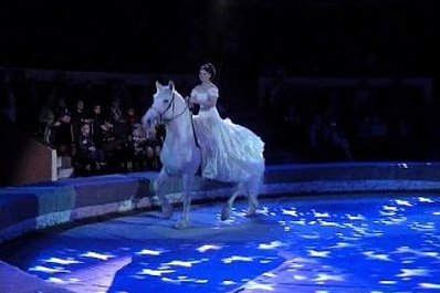 2 тысячи детей побывали на благотворительном представлении в самарском цирке