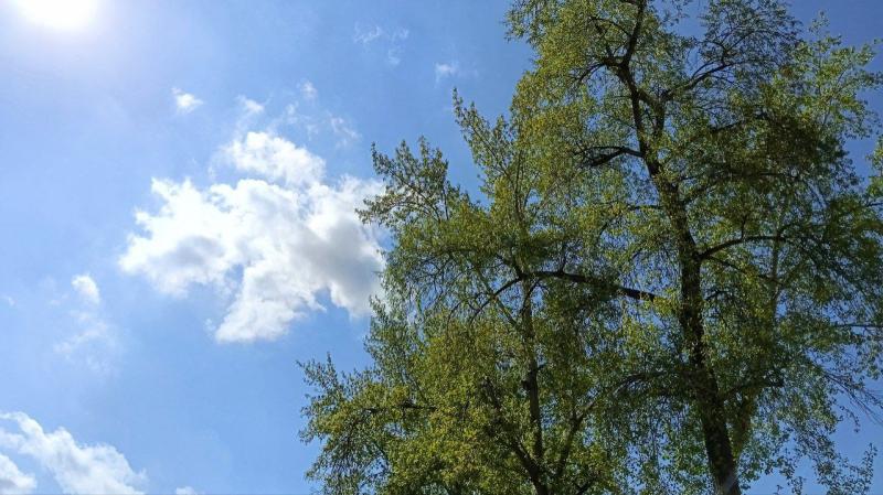 Народные приметы на 13 мая 2025 года: что нельзя делать в этот день