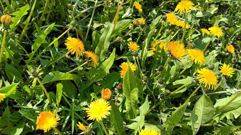 Народные приметы на 13 сентября 2025 года: что нельзя делать в этот день