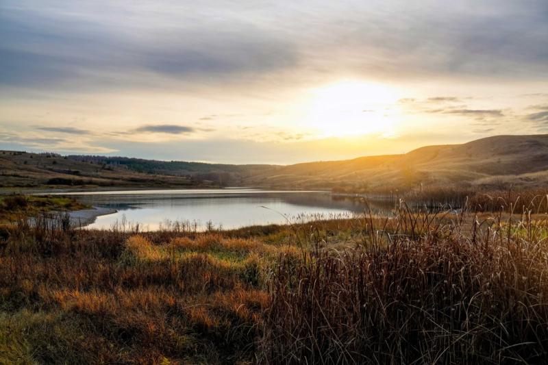 Жителей Самарской области предупредили о магнитной буре в начале декабря