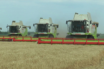 Название статьи