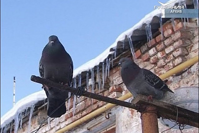 В регионе из аварийного и ветхого жилья переселяют через суд