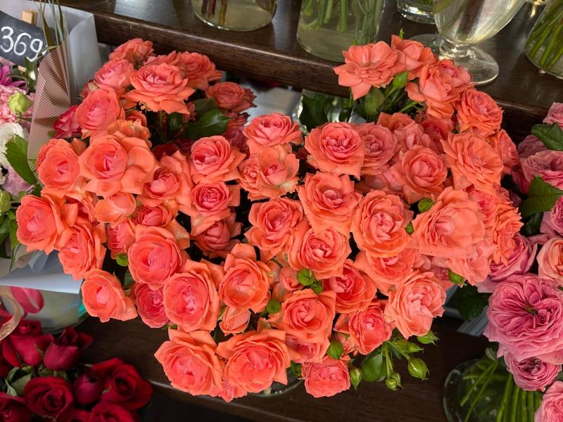 Без аспирина и водки: самарский флорист рассказала, как сохранить букеты и что подарить на 1 сентября