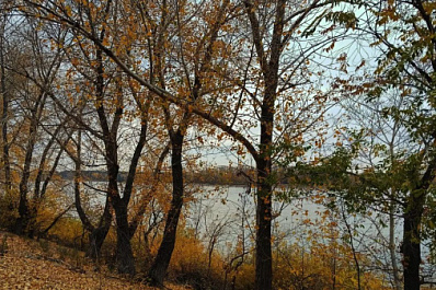 Народные приметы на 21 октября 2024 года: что нельзя делать в этот день