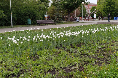 В Октябрьске благоустройство парка имени Максима Горького вышло на следующий этап