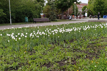 Название статьи