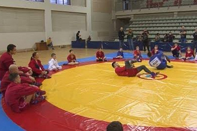 "Школа чемпионов" поможет спортсменам избежать кризиса после завершения карьеры