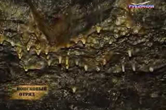 Поисковый отряд. Печёрские штольни 16.04.2013 