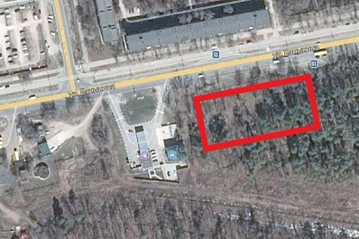 В Тольятти передумали отдавать лес под автомойку