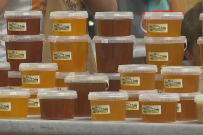 В Самаре состоялась медовая ярмарка   
