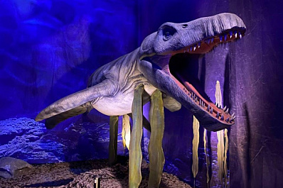 В Самаре дети из семей вынужденных переселенцев увидели "Динозавров морских глубин"