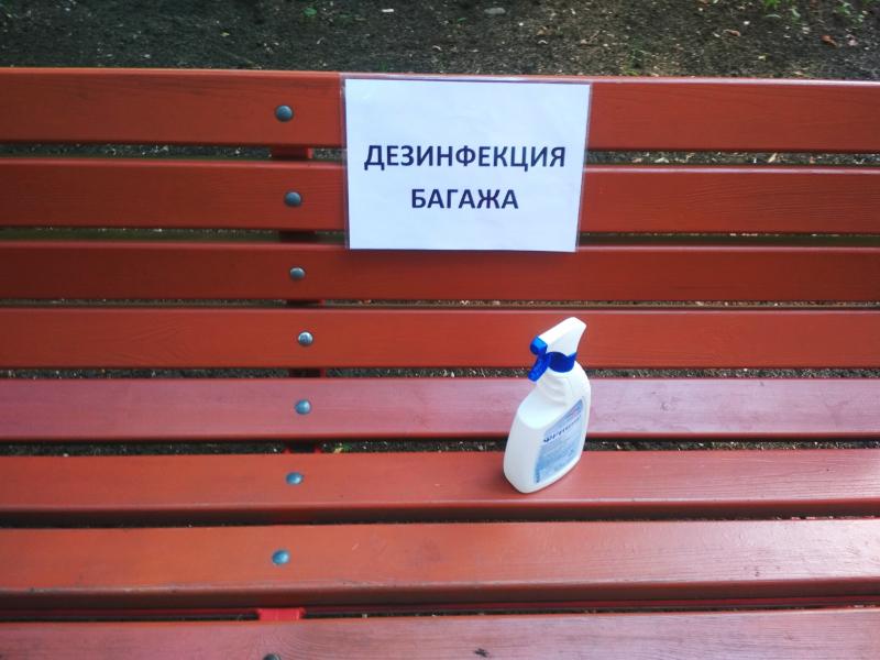 Как будут работать детские лагеря в Самарской области летом 2020 года