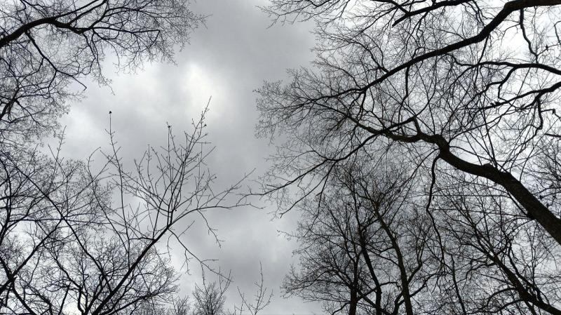 В Самарской области 9 апреля похолодает до 12 градусов