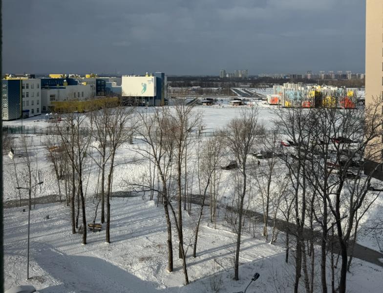 Погода на 24 января 2025 года: народные приметы и прогноз синоптиков