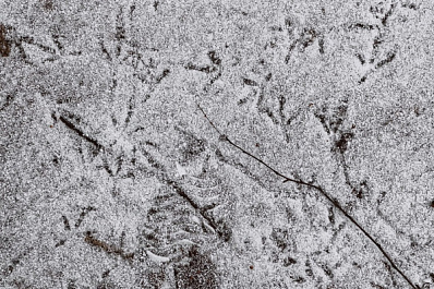 К концу недели на Самарскую область обрушится снег