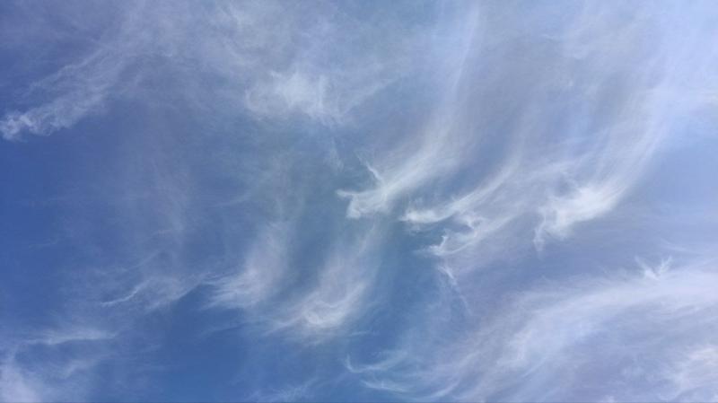 В Самарской области 9 июня ожидается 33-градусная жара