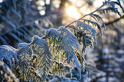 В Самарской области объявили оранжевый уровень опасности из-за морозов