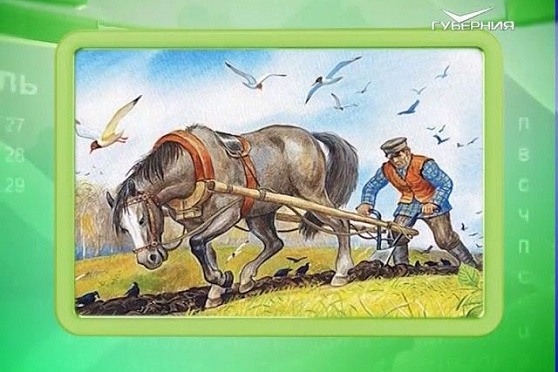 Календарь губернии 06.05.2017