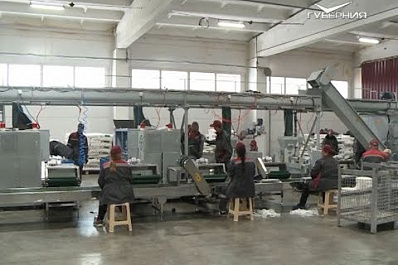 Самарская область уже скоро сможет поставлять на экспорт грибы