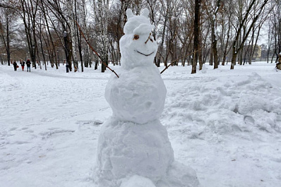 В Самарской области побит снежный рекорд 13-летней давности
