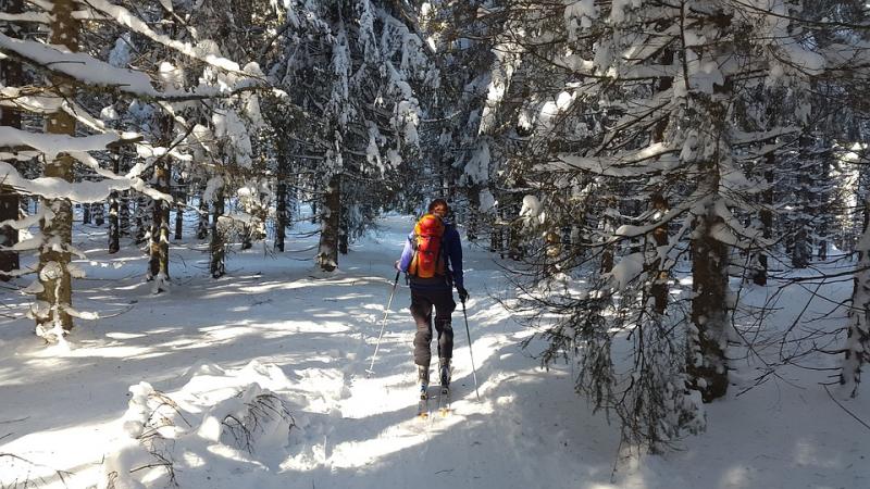 В "Сосновом бору" Кинеля занимаются лыжники и любители скандинавской ходьбы 